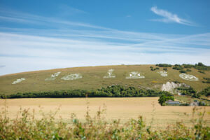 May Bank Holiday Weekend in Salisbury, Wiltshire  - Fovant Badges