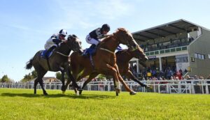 May Bank Holiday Weekend in Salisbury, Wiltshire -Salisbury Racecourse